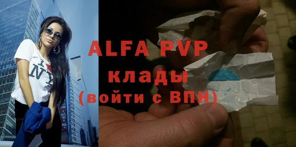 прущие грибы Белокуриха