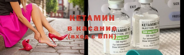 прущие грибы Белокуриха