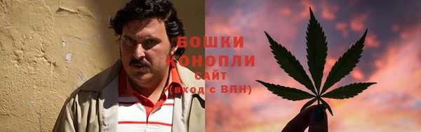 прущие грибы Белокуриха