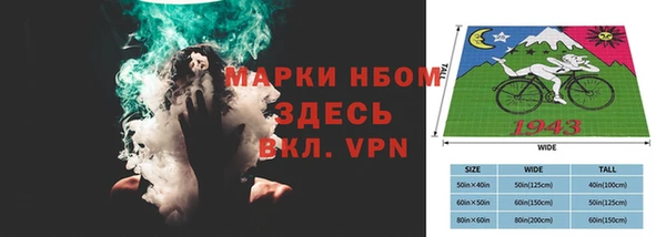 прущие грибы Белокуриха