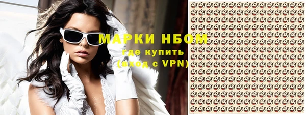 прущие грибы Белокуриха
