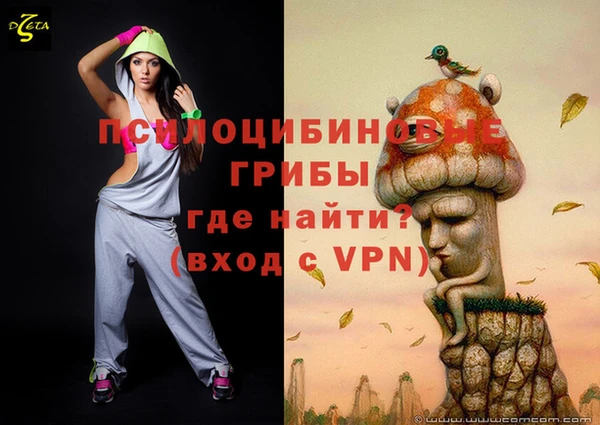 прущие грибы Белокуриха