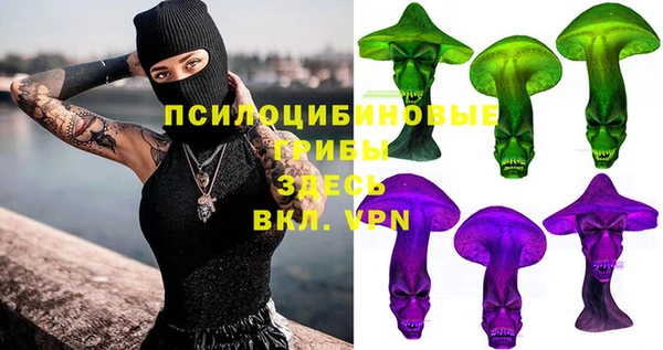 прущие грибы Белокуриха