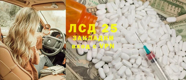 прущие грибы Белокуриха