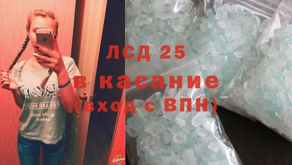 прущие грибы Белокуриха