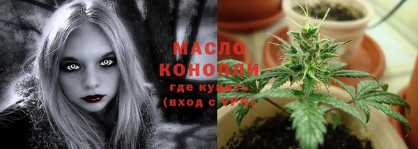 шишки Инта
