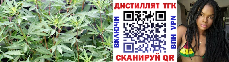 ТГК вейп  Полесск 